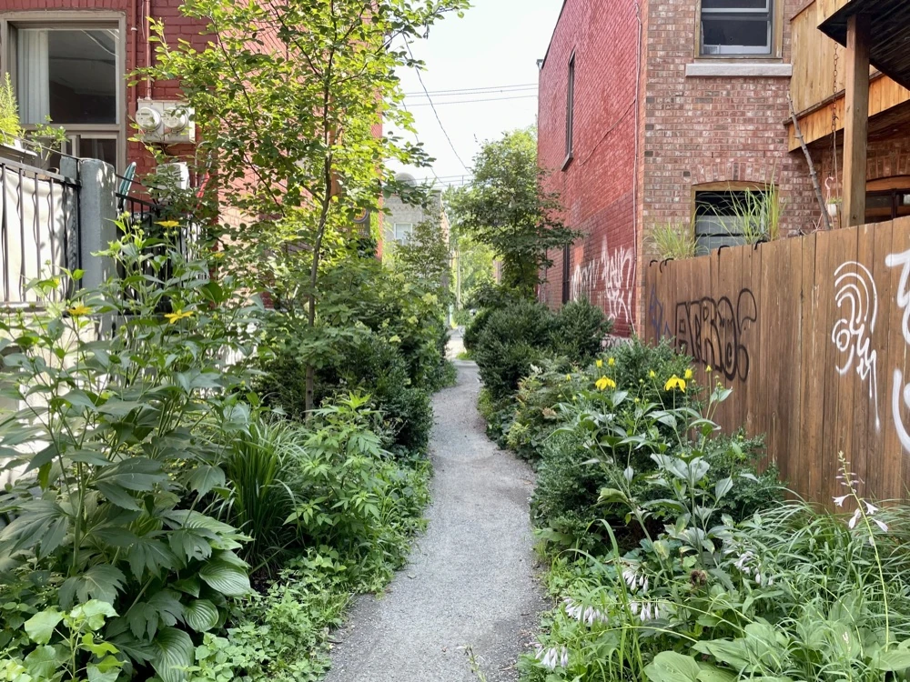 A leafy walkable residential street