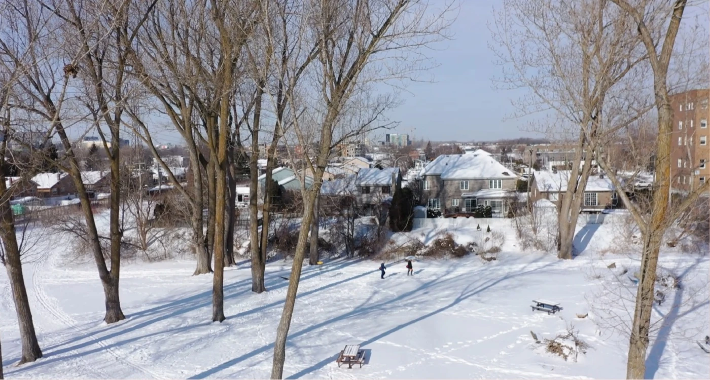 Diagnostic portrait of housing in Laval